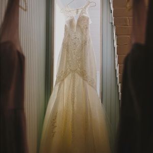 Pronovias Wedding Dress
